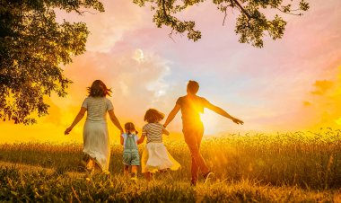 Como escolher o seguro ideal para você e sua família