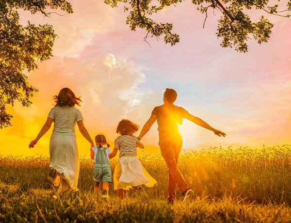 Como escolher o seguro ideal para você e sua família