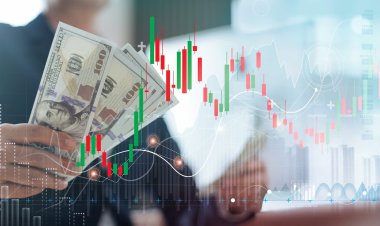 Como montar uma carteira de investimentos diversificada