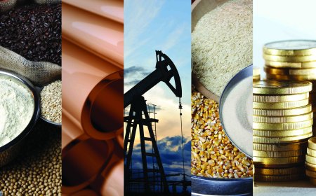 Investimento em commodities: o que são e como investir de forma segura.