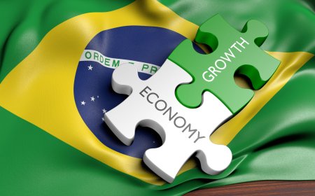 Setor de Seguros no Brasil: Desafios e Oportunidades em Meio à Expansão e Inovação