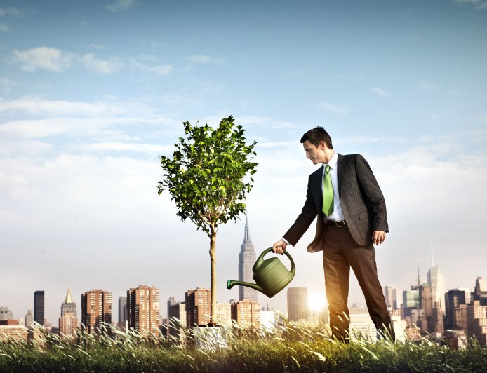 Investindo no Futuro: Roteiro Descomplicado para Iniciantes na Educação Financeira